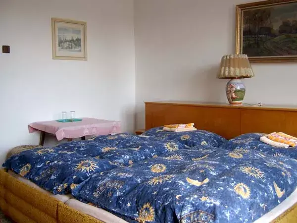 Photo 2 of Pension Svoboda